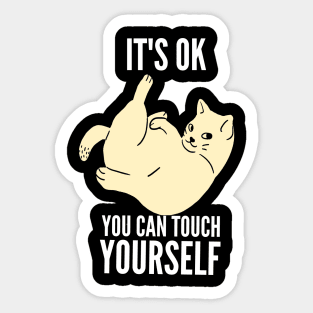 It's okey you can touch yourself funny quarantine quotes Sticker